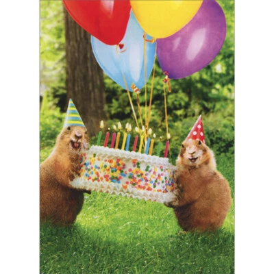 AVANTI PRESS Two Prairie Dogs Carrying Cake and Balloons Funny / Humorous Birthday Card