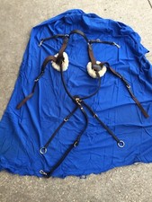 Pariani five points brestplate with martingale