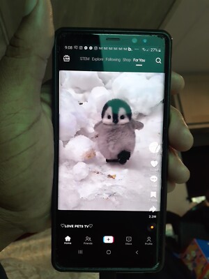 Tiktok Phone (Unlocked)
