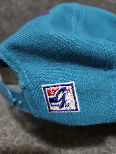 Vintage The Game NBA Charlotte Hornets Snapback Hat Cap 354 of 6000 - Picture 5 of 9