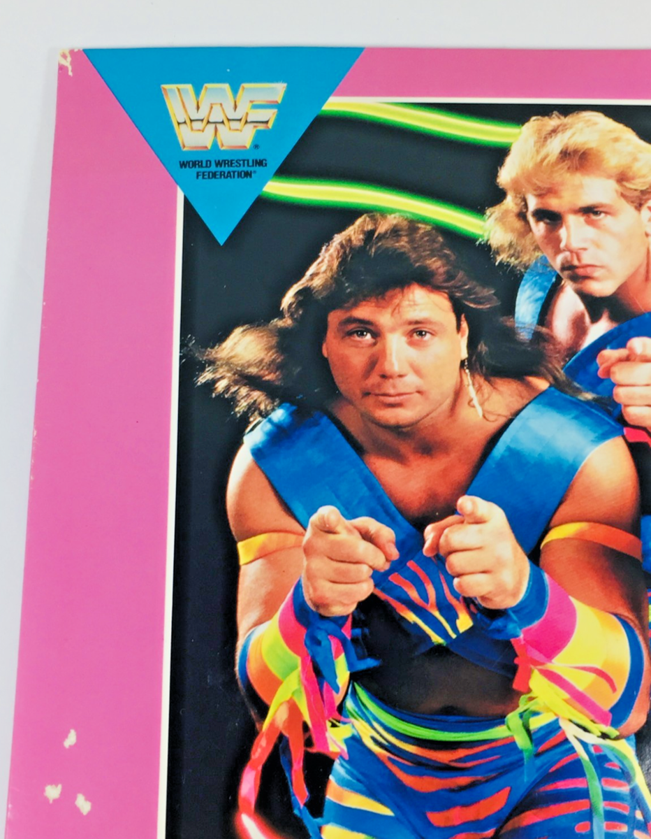 THE ROCKERS (WWF) 3 Ring Folder Marty Jannetty Shawn Michaels