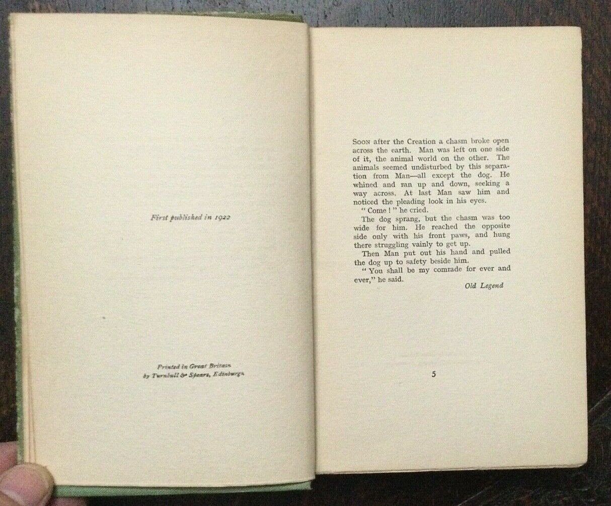 Picture 5 of 11