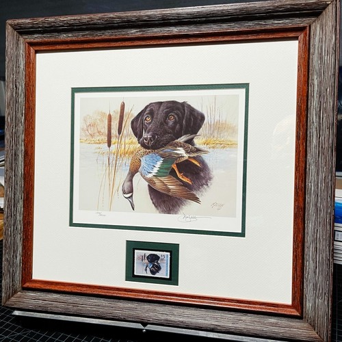 James Killen 1991 Ducks Unlimited Stamp Print With Stamp - Brand New Frame