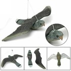 Foto 4 di 4