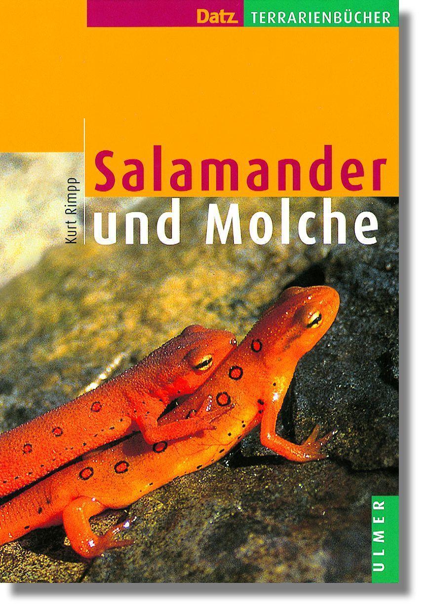 Thumbnail - Salamander Und Molche | Buch | 9783800138173