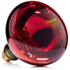 TheraBulb Near Infrared Bulb - 300W/120V - Sold by Manufacturer
