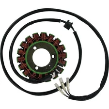 Ricks Motorsport Electric - 21-303 - Stator