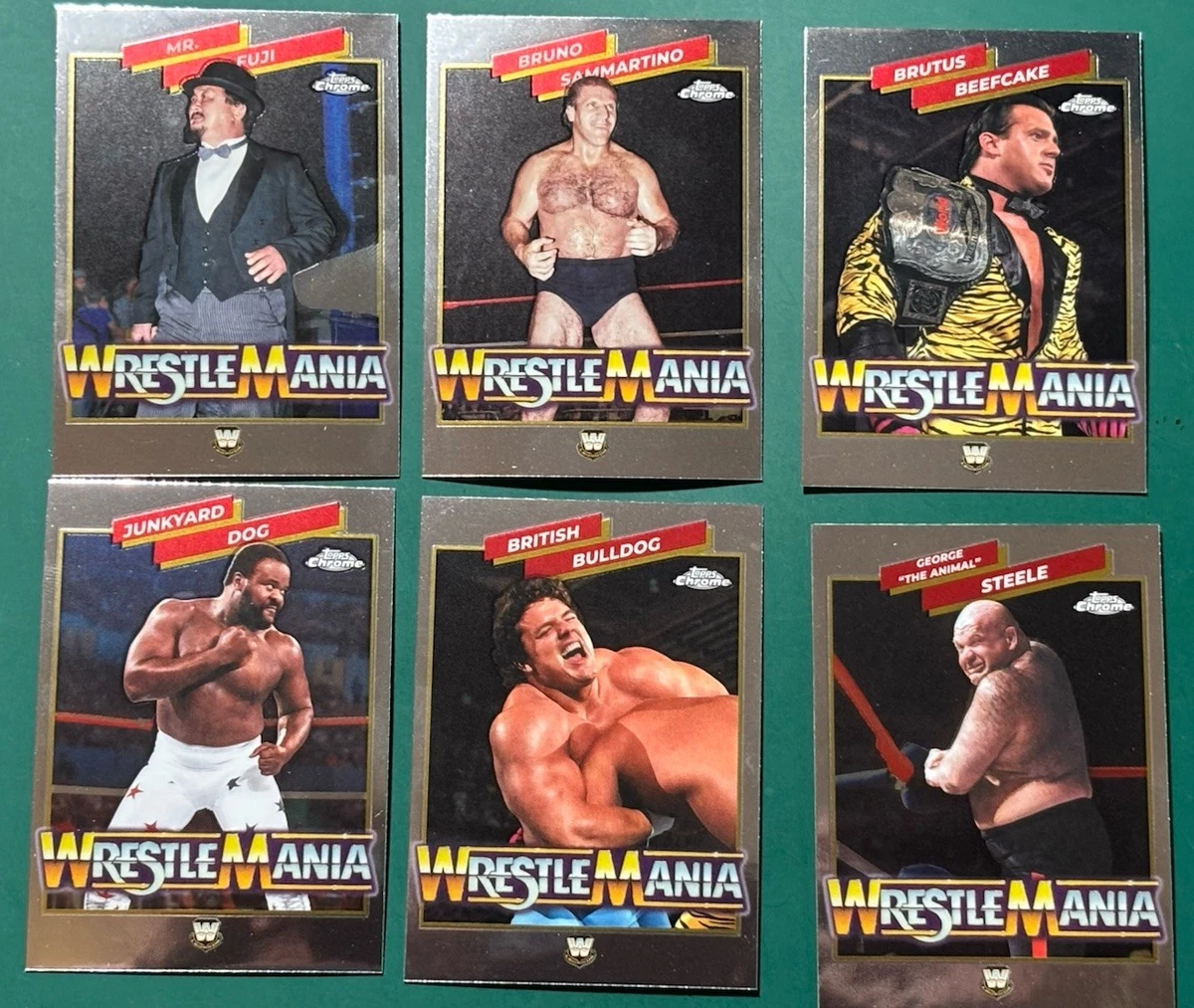 Wrestling WWE Sports Trading Cards & Accessories Insert ungraded