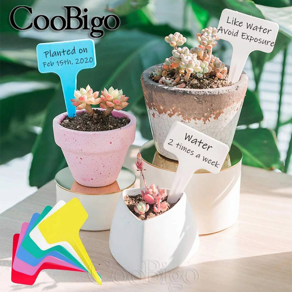 100pcs T Shape Garden Labels Gardening Plant Classification Markers Sorting Seed