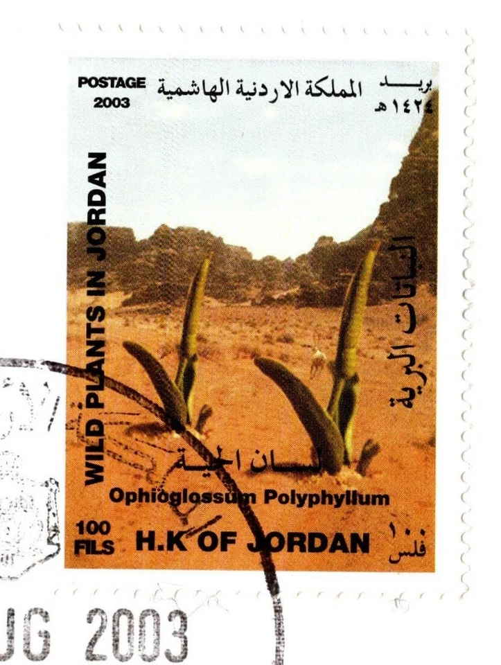 JORDAN 2003 WILD PLANTS IN JORDAN FIRST DAY COVER FOUR STAMPS SET  - Image 3 of 4