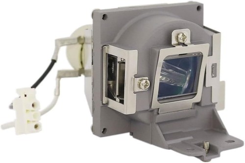 IET Genuine OEM Replacement Lamp for ViewSonic RLC-102 Projector (Philips Bulb) - 第 1/3 張圖片