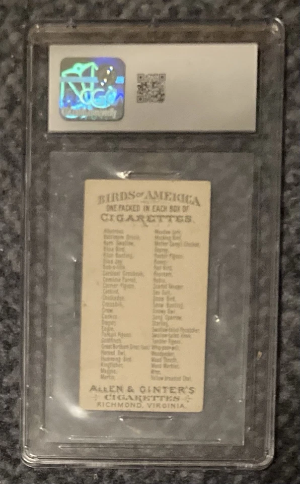 Allen & Ginter N4 Birds Of America 1888 BÚHO CUERNO 🦉 CGC muy bueno + 3,5 Foto 4 de 4