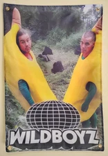 Wildboyz MTV Show Jackass Poster Banner Tapestry Steve O Chris Pontius Deck 2003