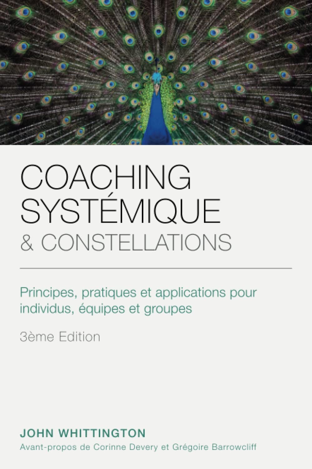 COACHING SYSTÉMIQUE ET CONSTELLATIONS: Principes, pratiques et mise en applica - Image 2