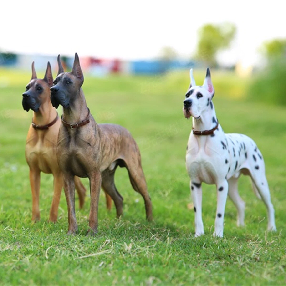 Great dane cheap items
