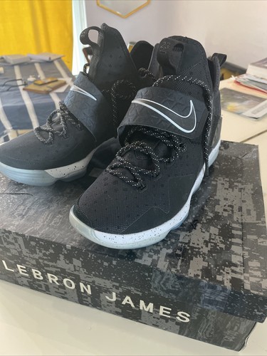 lebron zoom 14