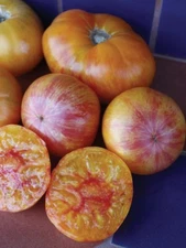 Solar Flare Tomato Seeds 