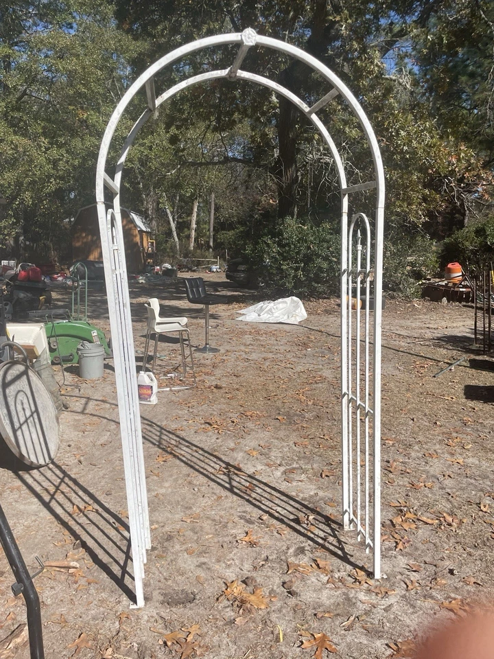 金属花园拱门架攀爬玫瑰植物 — 第 2/4 张图片