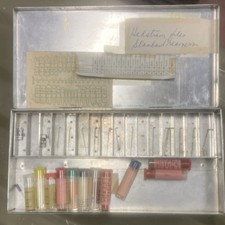 Helation Files Standard Reamers Dental Tool Kit Metal Box Tooth Diagram