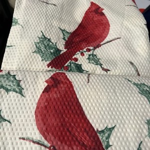 CARDINAL CLOTH SHOWER CURTAIN SET W/HOOKS