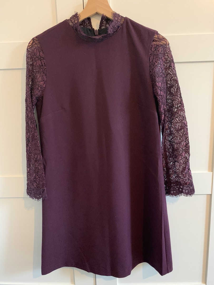 knee length dresses for ladies Elsie Purple Lace and Crepe Mini Dress (Archive Sale)