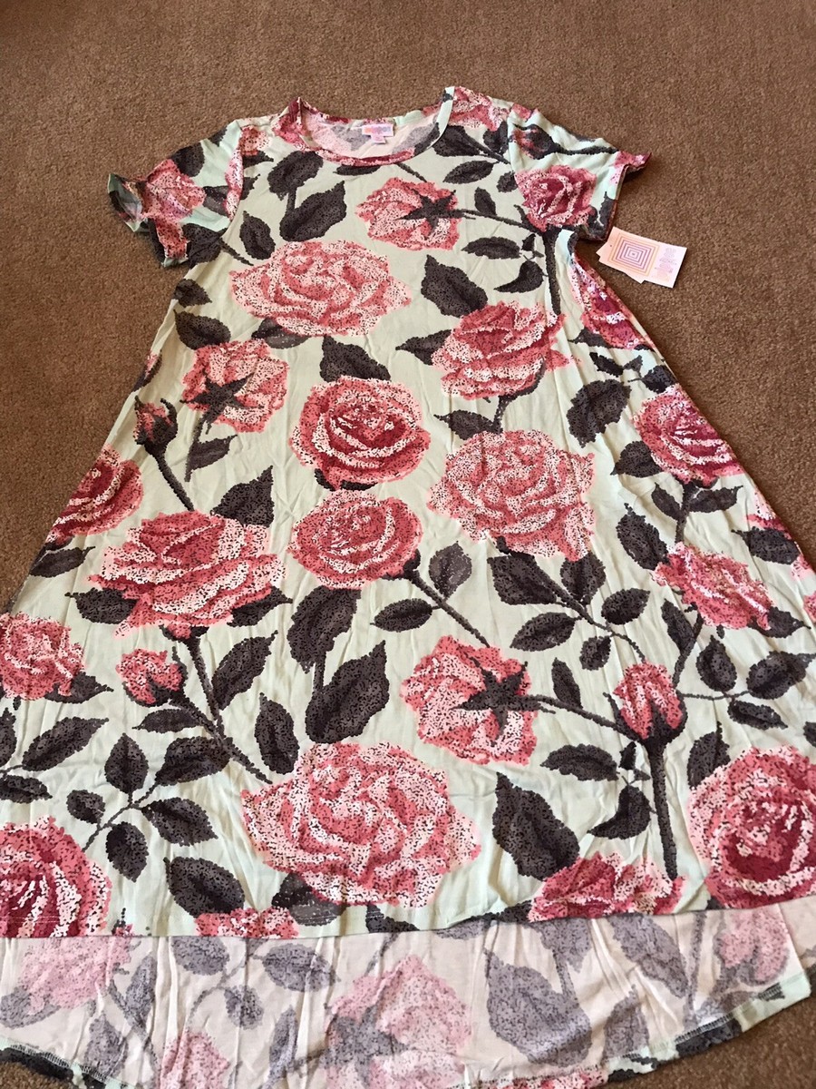 Lularoe Medium Green Pink large Roses 🌹 Carly Dress HTF Unicorn