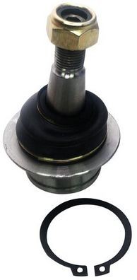 Denckermann D120186 Traggelenk Vorne L/R FüR Tourneo Connect Custom V362-image