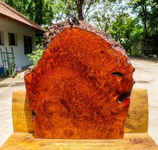 Red AMBOYNA BURL LUMBER Wood Natural Slab Live Edge DIY Epoxy Resin Table Top