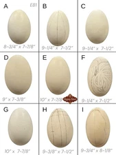 9 Empty VTG XL Blown Goose Eggs Blown White Shell Pysanky Butterk Two Hole