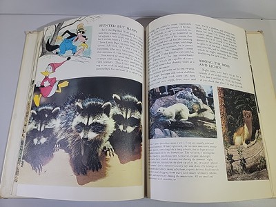 Disney's Wonderful World of Knowledge 1971 Volume 1 Animals | eBay