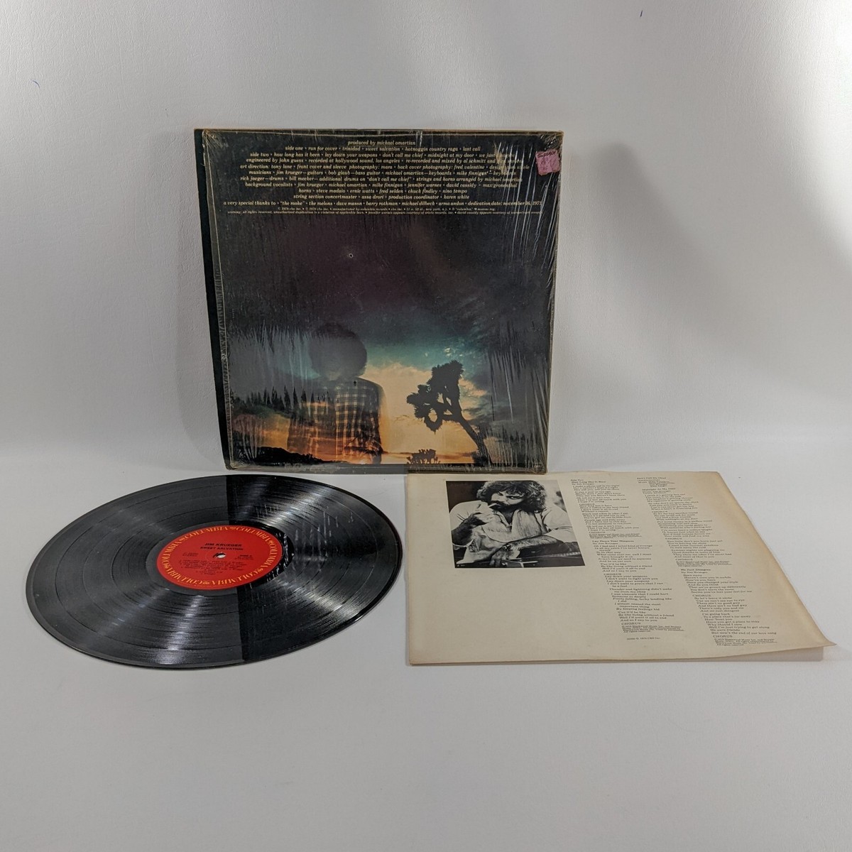 洋楽 JIM KRUEGER \"SWEET SALVATION\" MC02NDMyLmpwZWc.jpeg