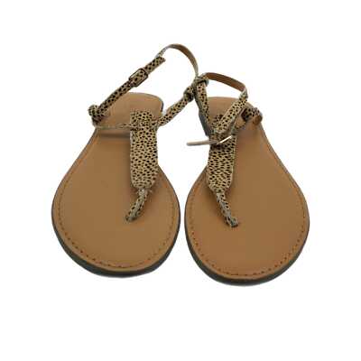 J. Crew Brown Leather Flip Flop Sandals | Casual Chic | eBay display picture 1