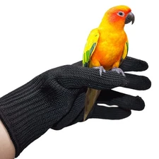 Bird Training Anti-Bite Gloves, Hand Protection Parrot Chewing Working Safety...