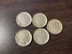 1916 buffalo nickel lot of 5 coins #16