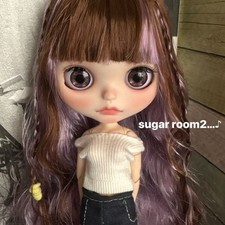 Custom Icy Doll Brown x Purple Hair Art Doll 19 movable joints Main unit only