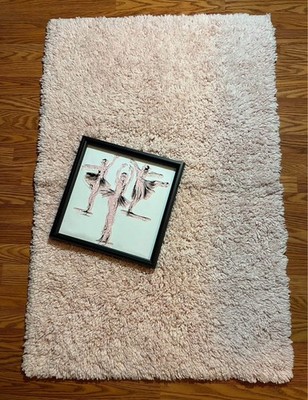 smaller area rug and ballerina wall decor