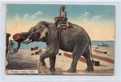 BURMA - Elephant working Timber - Publ. D. A. Ahuja