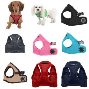 my dog destroyed a kong