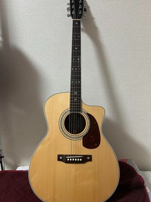A1-GC/Saga guitar All solid wood w/Genuine gig bag used good 