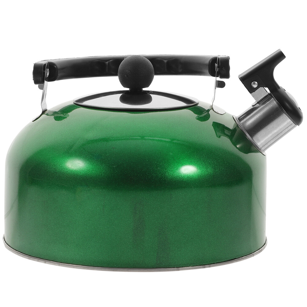 Chirping Kettle Stainless Steel Teapot Stovetop Teapots and Kettles eBay