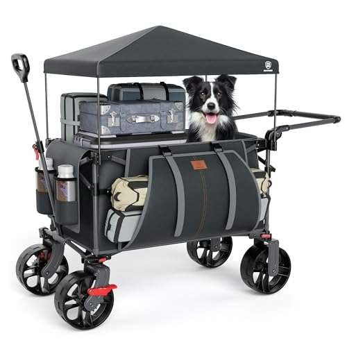 EVER ADVANCED 225L Festival Trolley on Wheels with  Assorted colors
