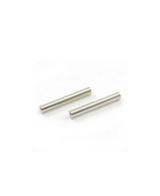 VRX Racing 10130 Diff Pins, 2pcs (FTX6233) River Hobby 1/10 Rc Car Outlaw Octane