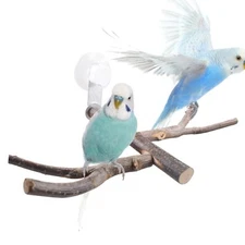 Bird Perch with Suction Cup Window Wall Bath Car Outdoor Travel Perch Stand f...