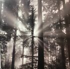 Bild 4 von 12
