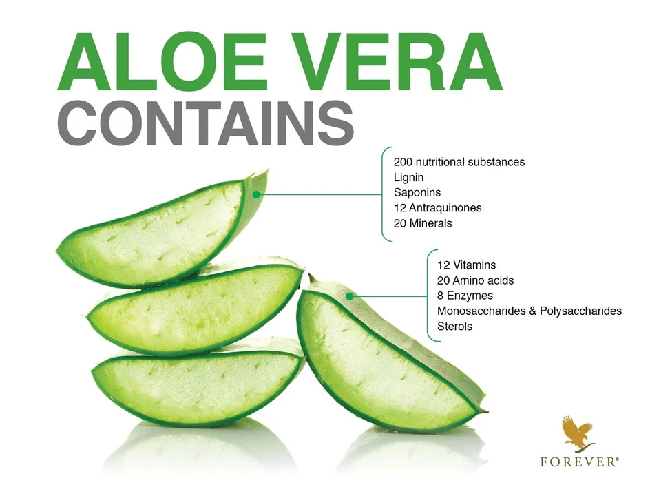 Forever Living C9 Sistema de Cambio Nutricional Desintoxicación Programa de Pérdida de Peso/Chocolate Foto 2 de 4