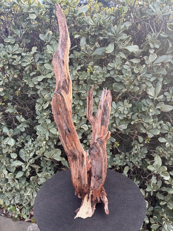 Aquarium Fish Tank Terrarium Aquascape  Manzanita Root/Branch - Image 4 of 4