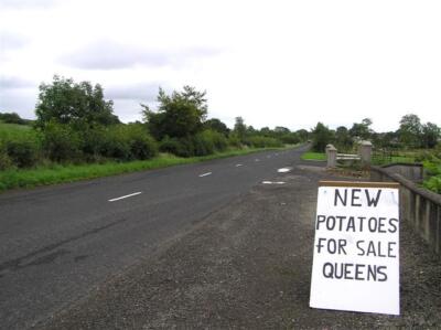 Foto 6x4 Spuds zu verkaufen bei Ballyronan in Nordirland es kommt darauf an wh c2006