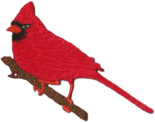 Patch écusson blason patche Oiseau Ornithologue thermocollant - Afbeelding 2 van 2