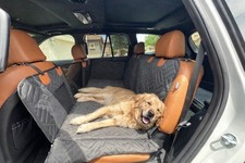 Dog Car Seat Cover View Mesh Pet Carrier Hammock Safety Protector Car Rear Back