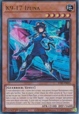 Yu Gi Oh! Deck K9 spielbereit auf Französisch